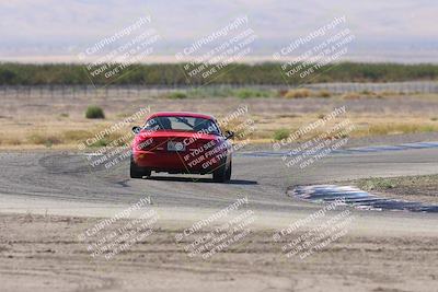 media/Oct-04-2025-OnGrid (Sat) [[44bd565ffa]]/Green Group/Grapevine/